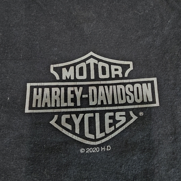 Harley Davidson T Shirt Mens Size L Black Live Wire 2020 Cotton Short Sleeve Tee - Picture 3 of 9